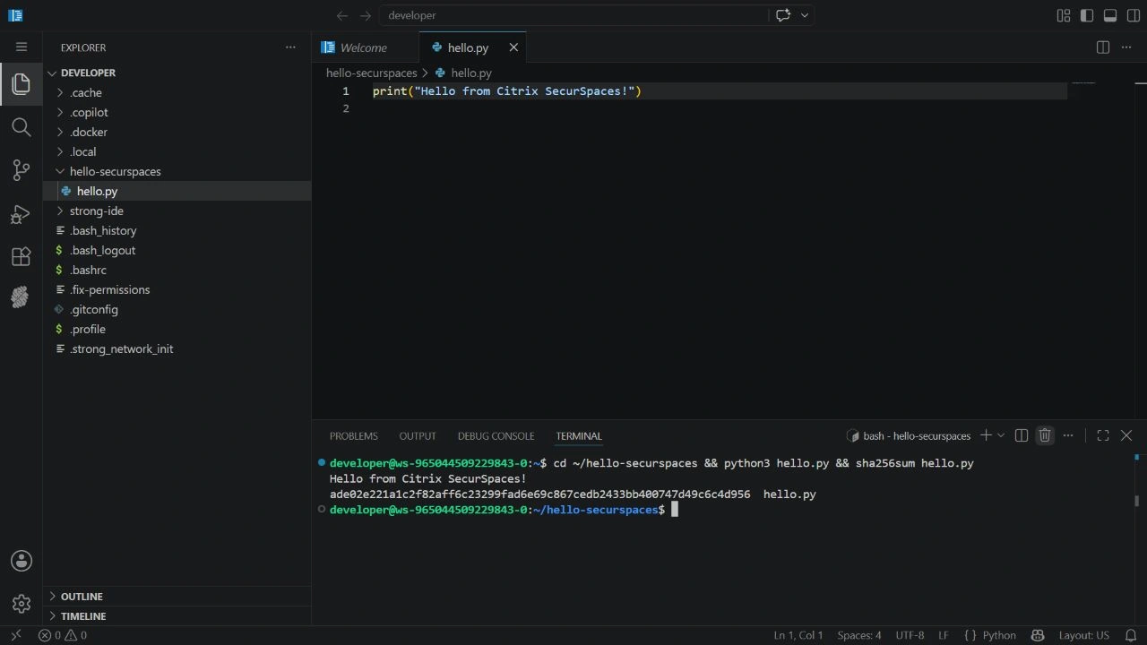 The preserved hello.py file and successful Python execution after restarting the VM and using Pause and Run